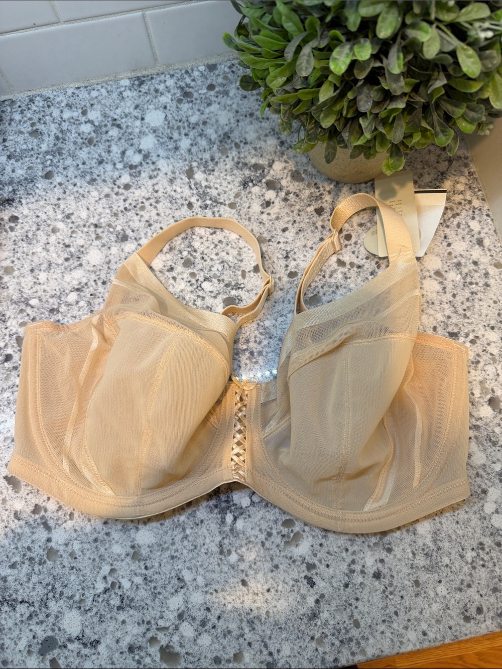 Parfait nude Underwire Bra new size 36G